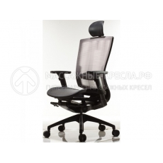 Компьютерное кресло Duorest DuoFlex Mesh BR-200M